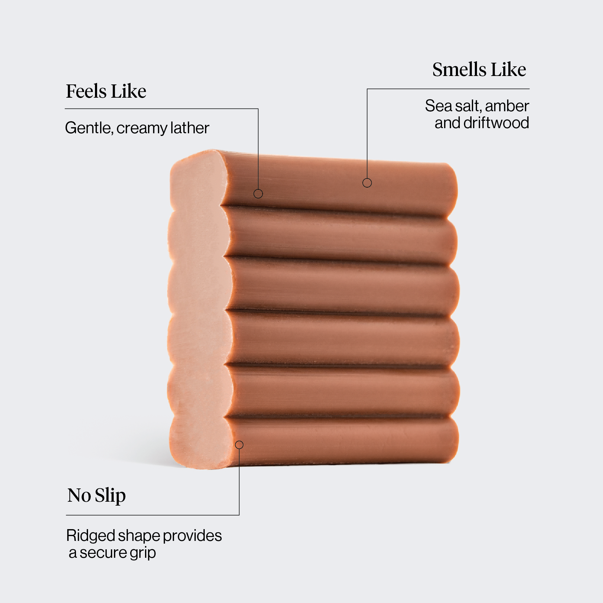 Infographics-72-dpi_Amber_Shores_Bar.png